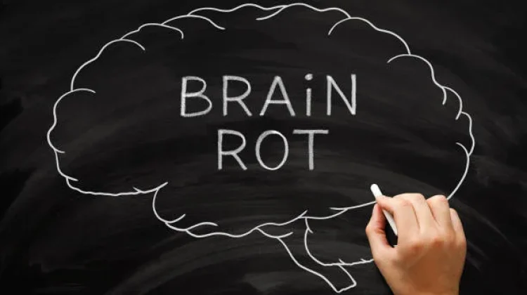 Apa Itu Brainrot dan Dampaknya?  Ini Penjelasannya