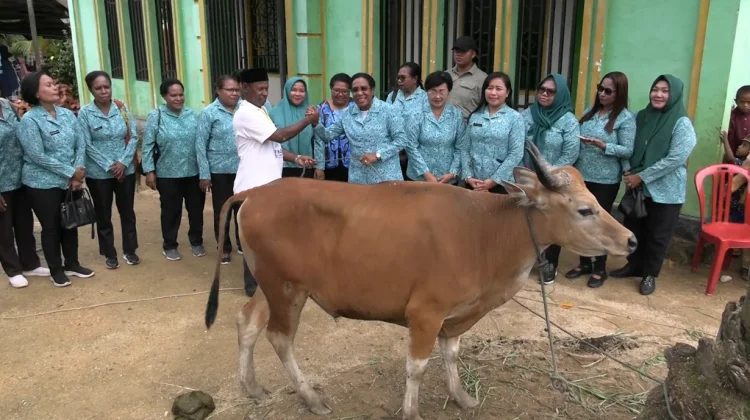 TP PKK Papua Barat Daya Berbagi Sapi Kurban dan Bingkisan untuk Warga Viktori
