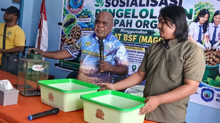 Hari Lingkungan Hidup, DLH Papua Barat Daya Tanam 400 Pohon dan Edukasi Pelajar