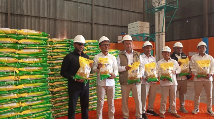 Tunggakan Pemda ke Bulog Capai Rp9 Miliar, Yan P. Mandenas Minta Segera Diselesaikan