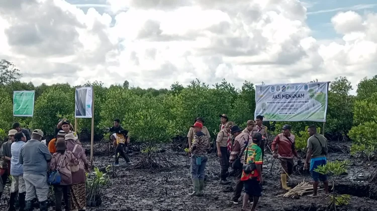 Raja Ampat Perkuat Program Mangrove dan Pengelolaan Sampah Dukung Aksi Iklim