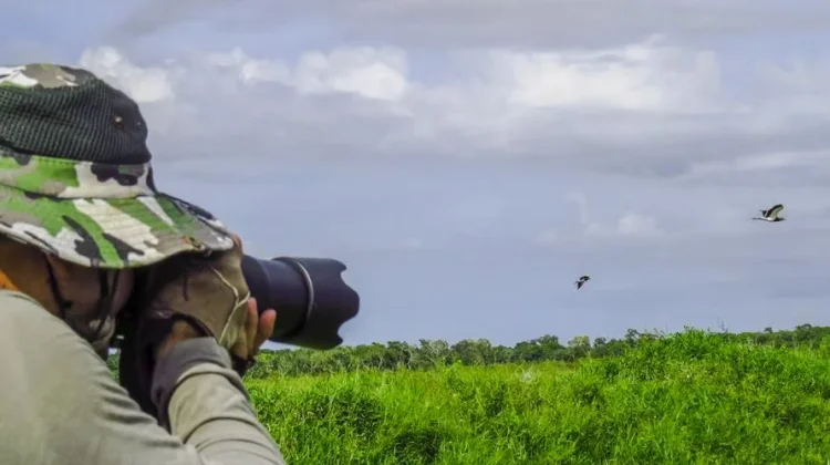 Birdwatching dan Kicau Mania Hobi yang Kembali Populer