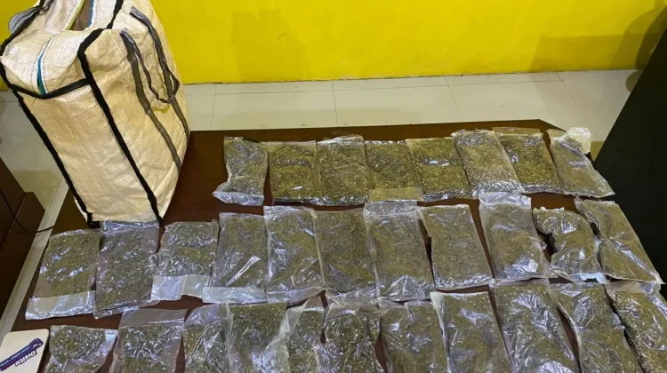 Seorang Wanita Diamankan Satresnarkoba Polresta, Terbukti Bawa 597 gram Ganja