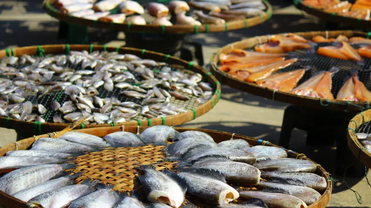 Ikan Air Asin vs Air Tawar: Mana yang Lebih Sehat untuk Dikonsumsi?