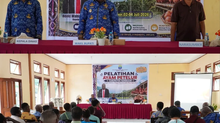Pemkab Tambrauw Latih Peternak Ayam Petelur