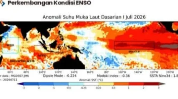 BMKG Sorong: El Nino Tingkatkan Risiko Kebakaran Hutan di Papua Barat Daya