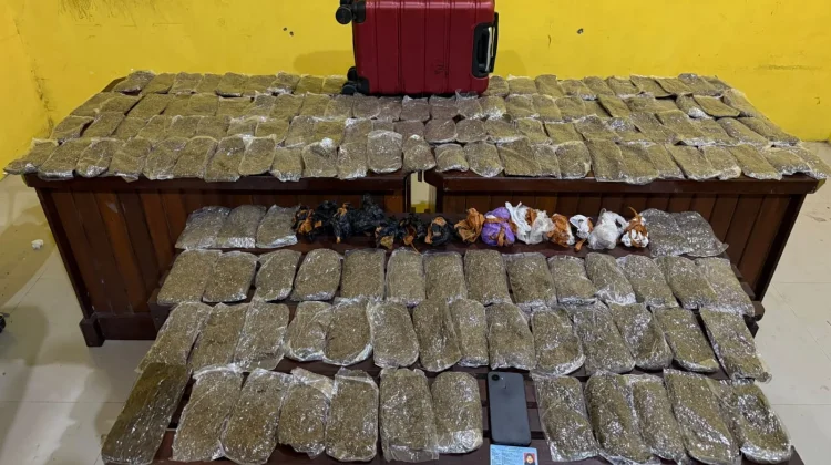 Satresnarkoba Polresta Sorong Kota Gagalkan Peredaran 5,4 Kilogram Ganja