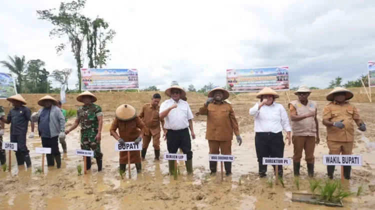 Penanaman Perdana Padi di Moswaren, Wagub PBD Tegaskan Komitmen Bangun Pertanian