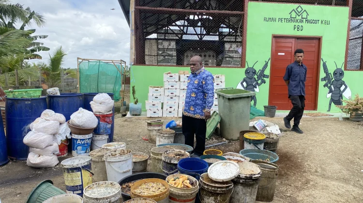 DLH PBD Kembangkan Rumah Maggot KELI untuk Masa Depan Ekonomi dan Ekologi
