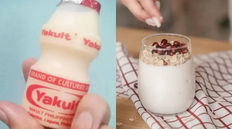 Perbedaan Yakult dan Yogurt, Mana yang Lebih Baik untuk Kesehatan