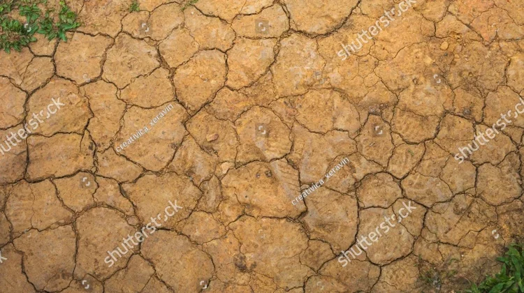 Kemarau Panjang El Nino Tiba, Waspadai Deretan Penyakit Mengintai Ini