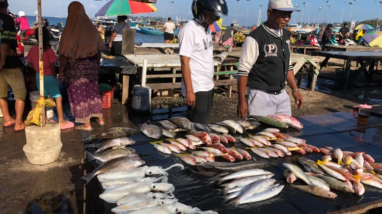 Ombak dan Angin Kencang, Harga Ikan di Sorong Melonjak