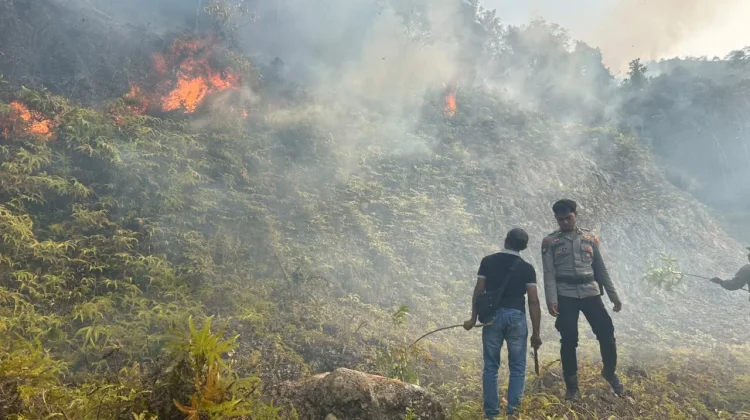 Polres Tambrauw Padamkan Kebakaran Lahan di Sekitar Kediaman Wakil Bupati