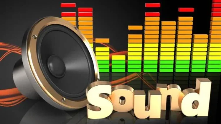 Benarkah Sound Horeg Bisa Bikin Fungsi Otak Menurun? Ini Penjelasannya