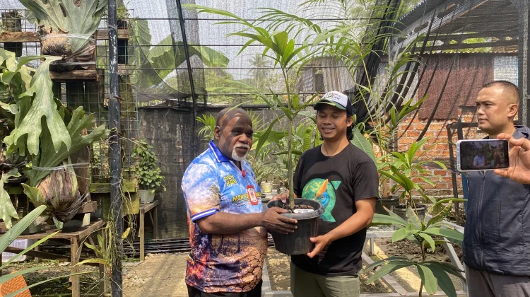 Kunjungi Botanical Garden, DLH PBD Dorong Tanaman Endemik Papua Ada Ruang Publik