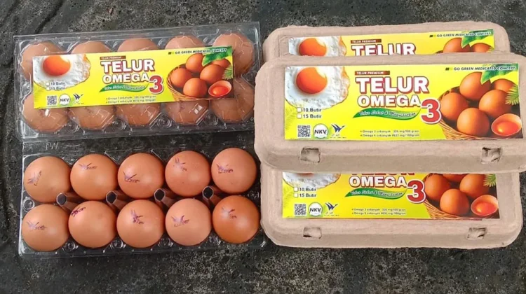 Manfaat Telur Omega-3, Pilihan Bergizi untuk Mendukung Kesehatan Tubuh