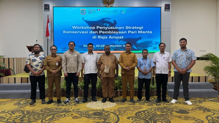 Populasi 2.000 Individu, PBD Susun Strategi Konservasi dan Pembiayaan Pari Manta
