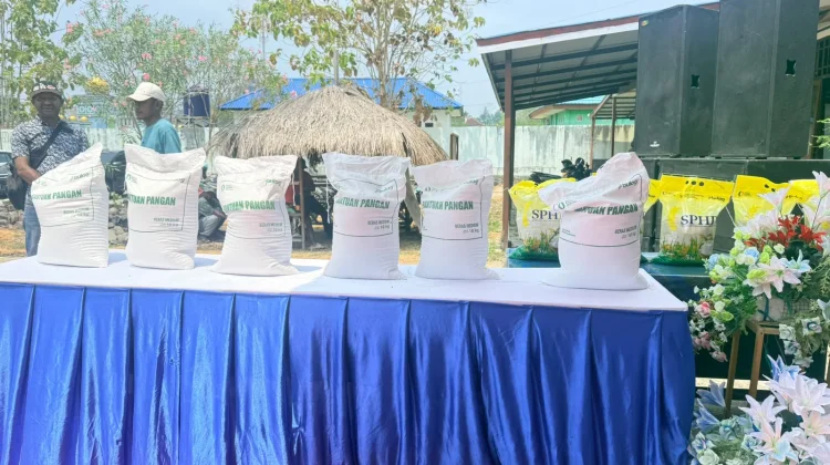 Bantuan Pangan Ringankan Beban Warga Miskin di tengah Kenaikan Harga Sembako