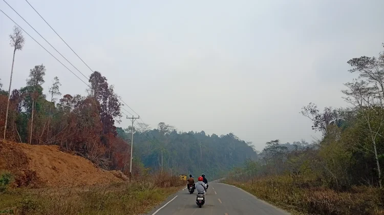 Konsentrasi PM2.5 di Kota Sorong Capai 105 µg/m³, Masuk Kategori Tidak Sehat