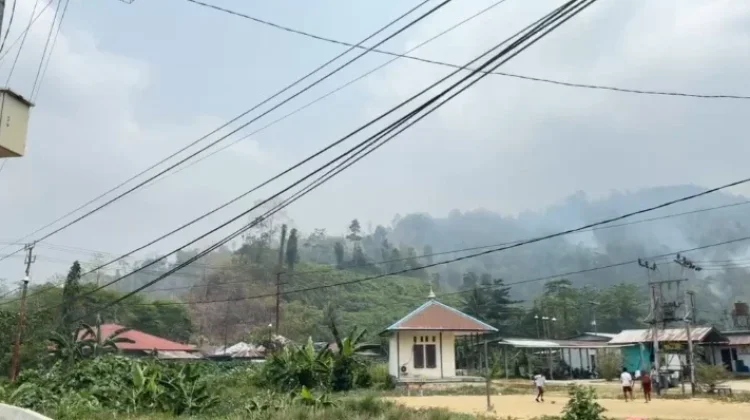 Kabut Asap Sorong Makin Terasa, Lakukan Langkah Ini agar Terlindungi