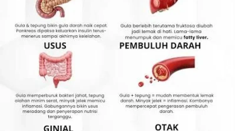 Gula, Tepung, dan Gorengan Berlebihan, Organ Tubuh Mana yang Paling Terdampak?