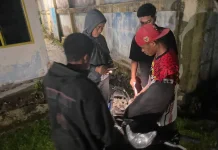 Polres Raja Ampat Gelar Patroli Intensif, Sita Sajam dan Miras