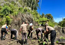 Dukung Ketahanan Pangan, Polres Maybrat Tanam Jagung di Kampung Kambuwifa