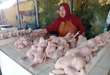 Harga Ayam Masih Stabil, Kenaikan jelang Lebaran Diperkirakan Hanya Rp2 Ribu