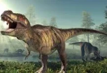 Mengapa Fosil Dinosaurus Tidak Ditemukan di Indonesia