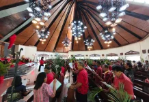 Ratusan Umat Katolik Padati Gereja Katedral Sorong Rayakan Minggu Palma