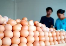 Telur Rebus ternyata Tidak Bisa Tahan Lama