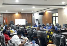 Pengawasan Belum Maksimal, Pansus DPRP PBD Soroti SDM dan SiLPA Inspektorat