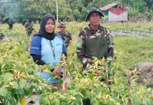 Yonif TP 807 Sorong Selatan Turut Andil alam Penguatan Pangan Nasional
