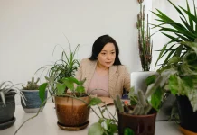 Tips Memilih Tanaman Hias untuk Tempat Kerja: Bikin Fokus dan Segar Sepanjang Hari