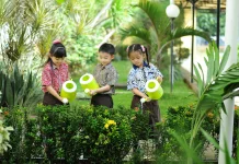Jangan Asal Basah! Ini Cara Menyiram Tanaman yang Baik dan Benar