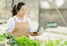 Strategi Branding Produk Pertanian di Pasar Modern