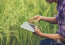 Aplikasi Digital yang Membantu Petani Muda