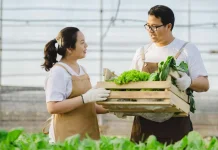 Cara Memulai Pertanian dengan Modal Minim