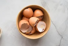 Manfaat Kulit Telur dan ternyata Memiliki Nilai Cukup Tinggi