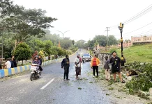 Respons Cepat DPPLH Sorong, Jalan Kilo 13–14 Dibersihkan Pascapembukaan Palang