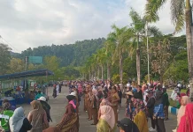 Hari Kartini, Ratusan Perempuan Lintas Profesi Gelar Karnaval di Raja Ampat