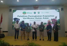 Pemprov Papua Barat Daya Gelar Pelatihan Verifikator Hutan Adat