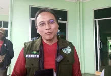 IDAI Temukan Kasus Jantung Serius pada Anak di Papua