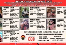 Polda PBD Tetapkan 7 DPO Terkait Pembunuhan Anggota Satgas Gobang VII Yonif 9