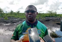 Dinas Kehutanan Papua Barat Daya Targetkan Penanaman 36 Ribu Bibit Mangrove