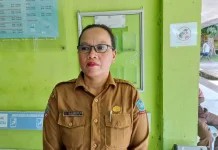Dinas P2KB Sorong Selatan Percepat Penurunan Prevalensi Stunting