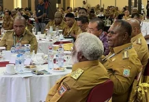 Gubernur Elisa Kambu Soroti DAU Papua yang Terus Berkurang akibat Skema Otsus