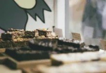 Cara Memulai Usaha Makanan Rumahan