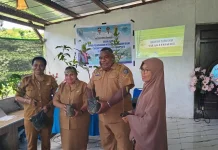 DLH Papua Barat Daya Sosialisasi Mitigasi Perubahan Iklim di Raja Ampat