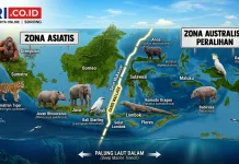 Garis Wallace: Batas Alam yang Membelah Dunia Satwa Nusantara